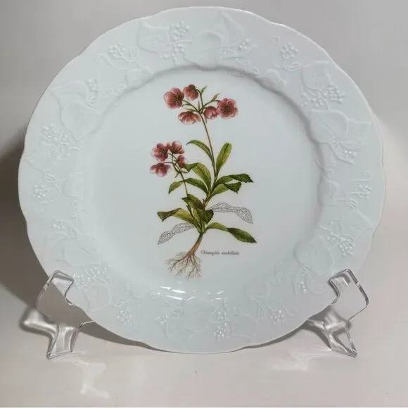 Vintage Dansk Ivy Chimapila Umbellata  9 3/4 " Luncheon Plate - Picture 4 of 5